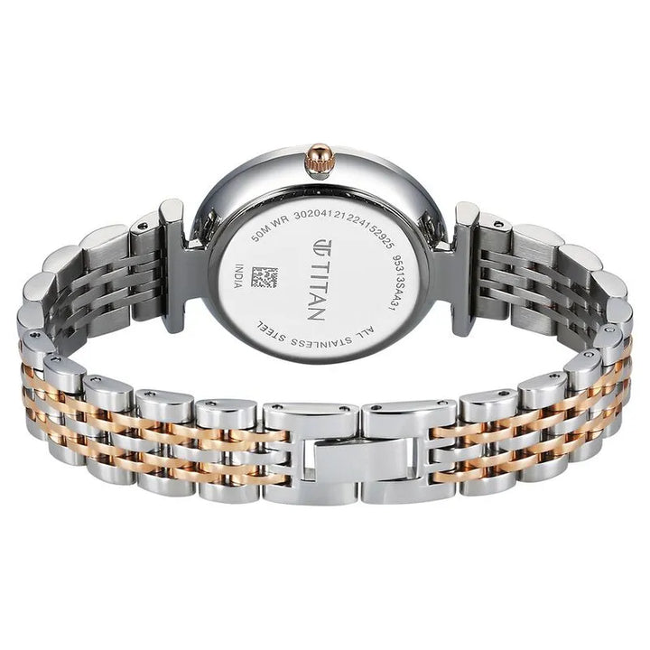 Titan Workmode nu95313km01 Silver Dial Women&