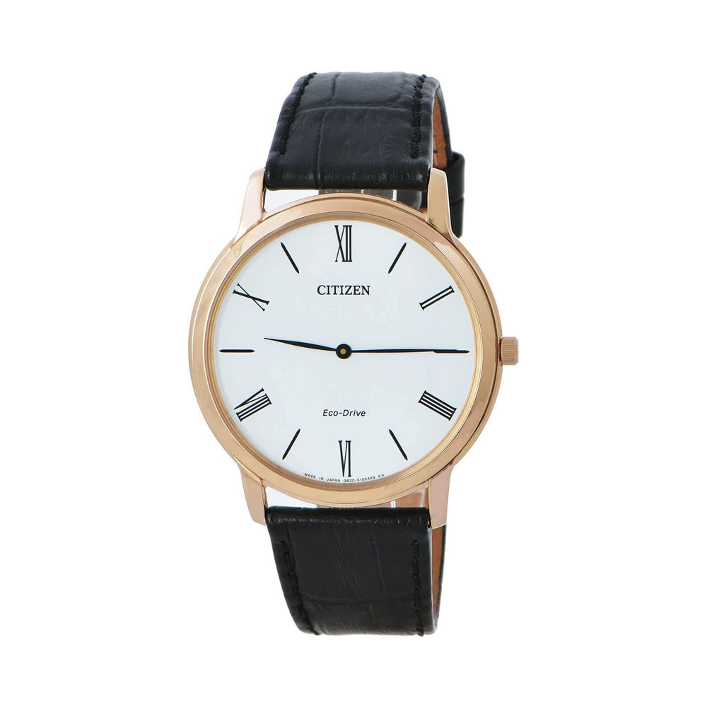 Citizen Eco-Drive AR1113-12B for Men