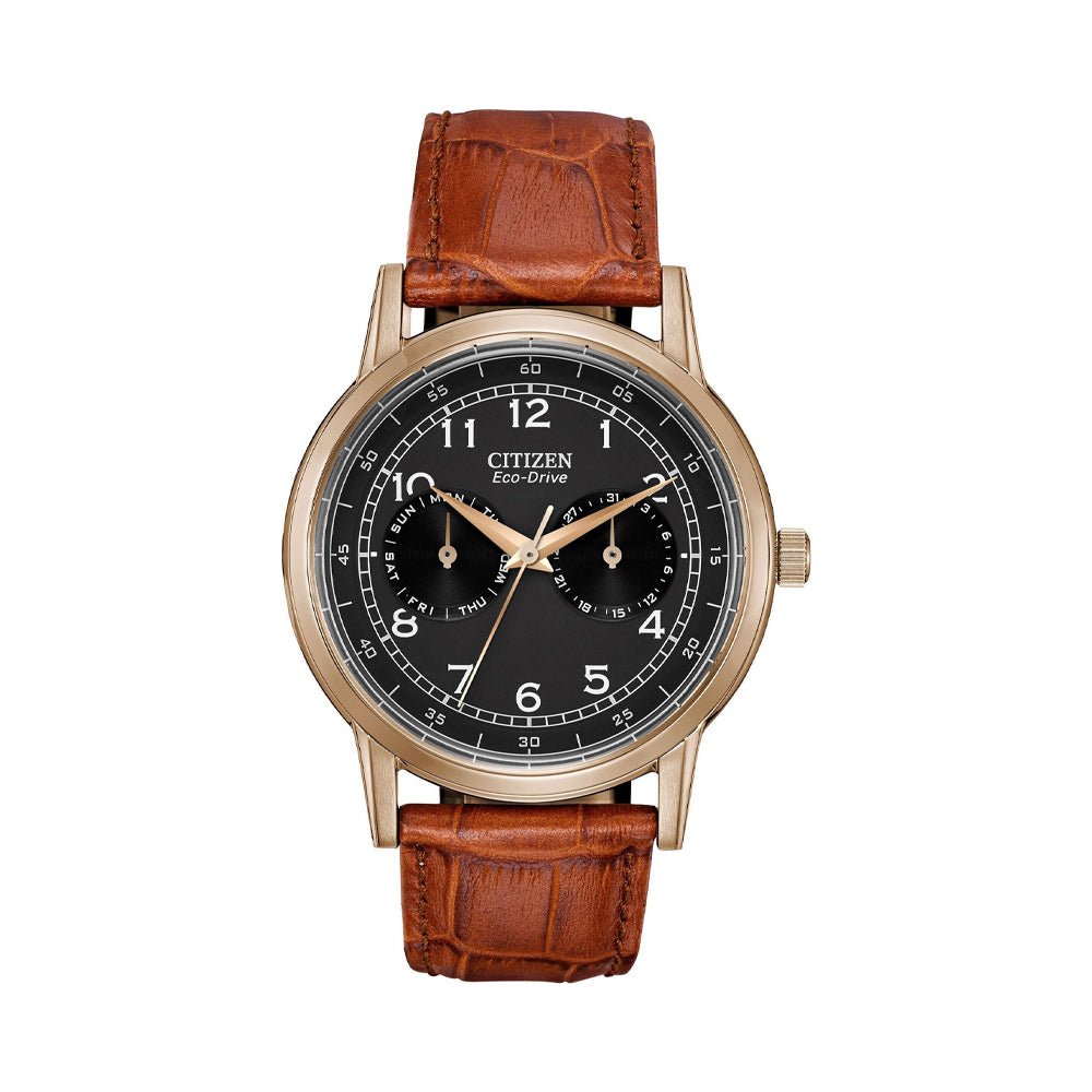 Citizen Eco-Drive AO9003-08E Men Watch