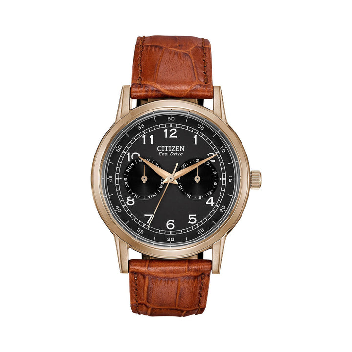 Citizen Eco-Drive AO9003-08E Men Watch