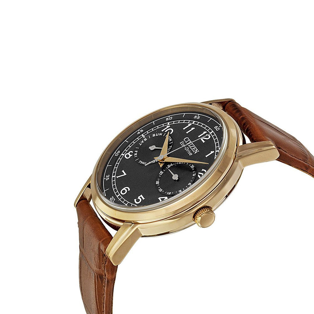 Citizen Eco-Drive AO9003-08E Men Watch