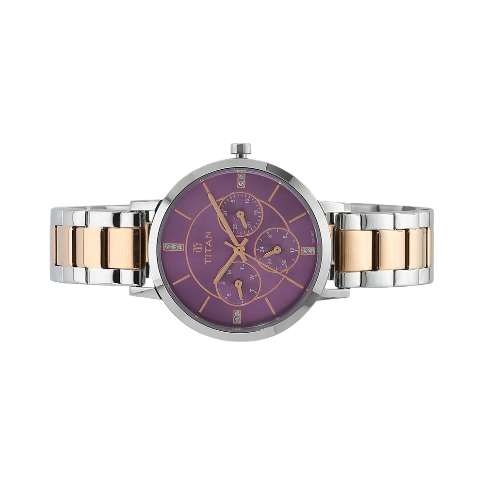 Titan Purple Dial Stainless Steel Women's Watch  95087KM02
