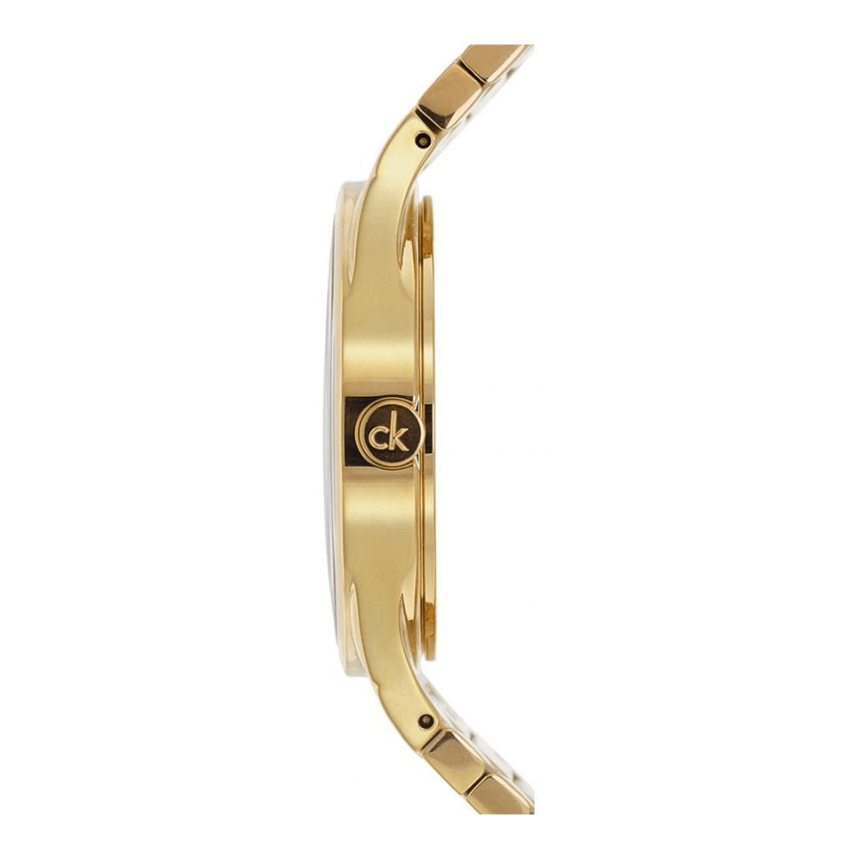 Calvin Klein Whirl K8A23546 for Women The Watch Factory